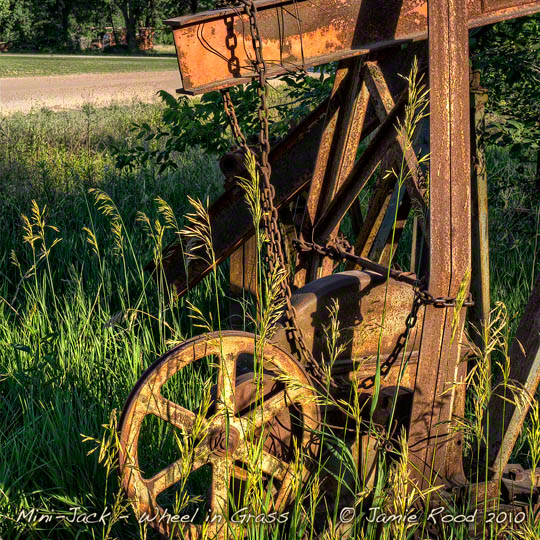 Mini Jack - Wheel in Grass