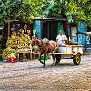 Horse Cart & Plantains