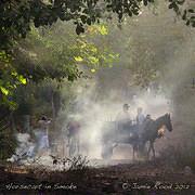 Horsecart in Smoke