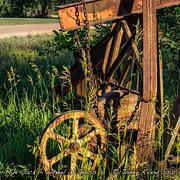Mini Jack - Wheel in Grass