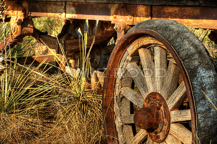 Wagon Wheel #2