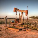 Pumpjack in Cotton at Sunset - Tile Coaster