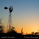 Windmill At Sunset - Coaster
