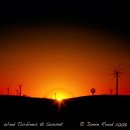 Wind Turbines At Sunset - Coaster