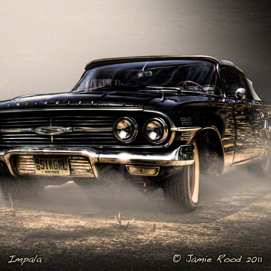 Impala - Crop