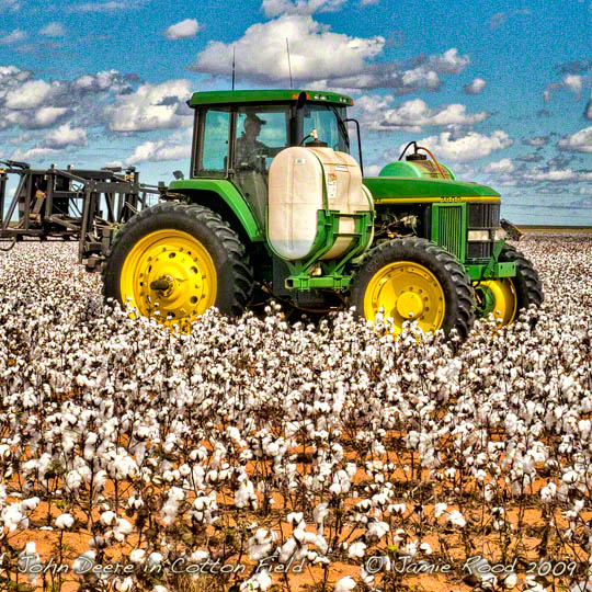 John Deere in Cotton Field