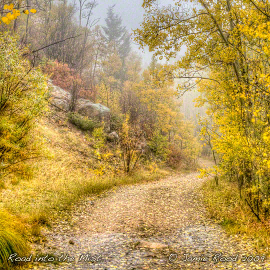 Road into the Mist