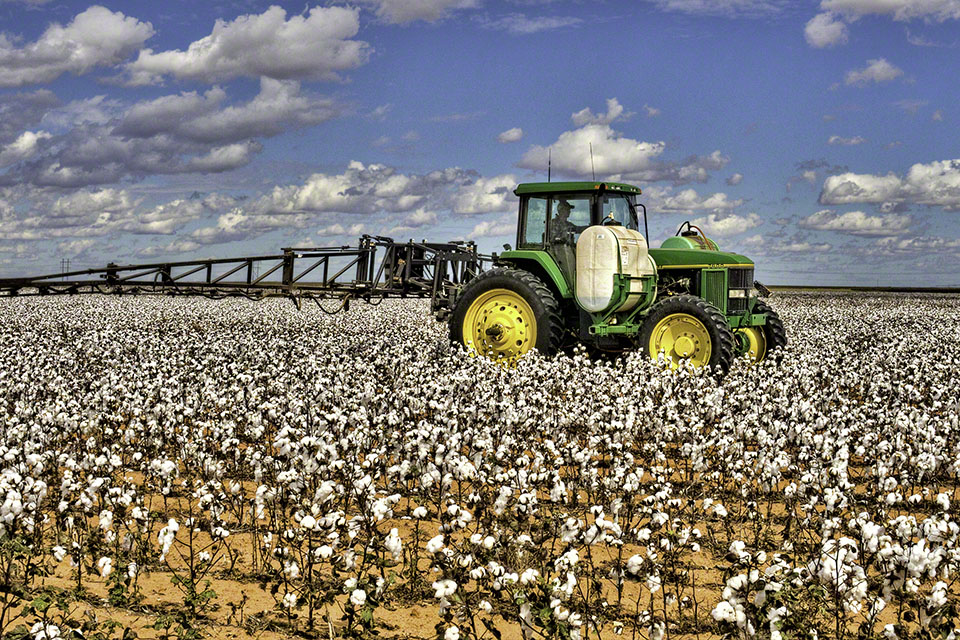 John Deere In Cotton Field