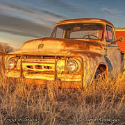 F-100 in the Grass