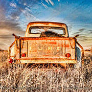 Ford Tailgate in the Grass