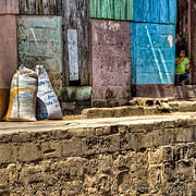 Grain & Colored Walls