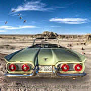 Thunderbird in the Badlands