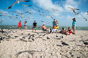 Gary Guillory Family at Rockport Beach - DSC4209