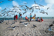 Gary Guillory Family at Rockport Beach - DSC4231