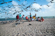 Gary Guillory Family at Rockport Beach - DSC4235