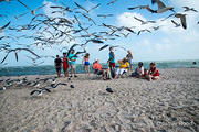 Gary Guillory Family at Rockport Beach - DSC4236