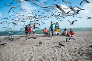 Gary Guillory Family at Rockport Beach - DSC4238