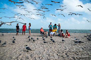 Gary Guillory Family at Rockport Beach - DSC4244