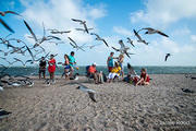 Gary Guillory Family at Rockport Beach - DSC4249