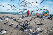 Gary Guillory Family at Rockport Beach - DSC4254