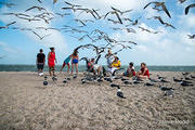 Gary Guillory Family at Rockport Beach - DSC4265