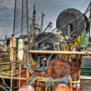 Buoys on Dock - Coaster