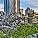 Chicago Ampitheatre & Skyline - Coaster