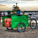 Corinto Beach Cart - Coaster
