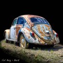 VW Bug Back - Coaster