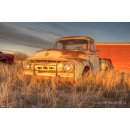 Ford F100 Astor